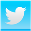 twitter icon